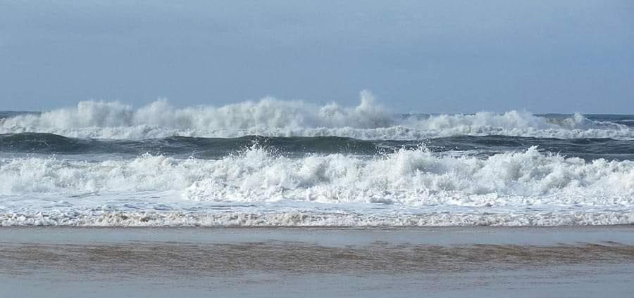 Le Pouget , Studio, Rez De Chaussee, Front De Mer Wifi Le Touquet Bagian luar foto